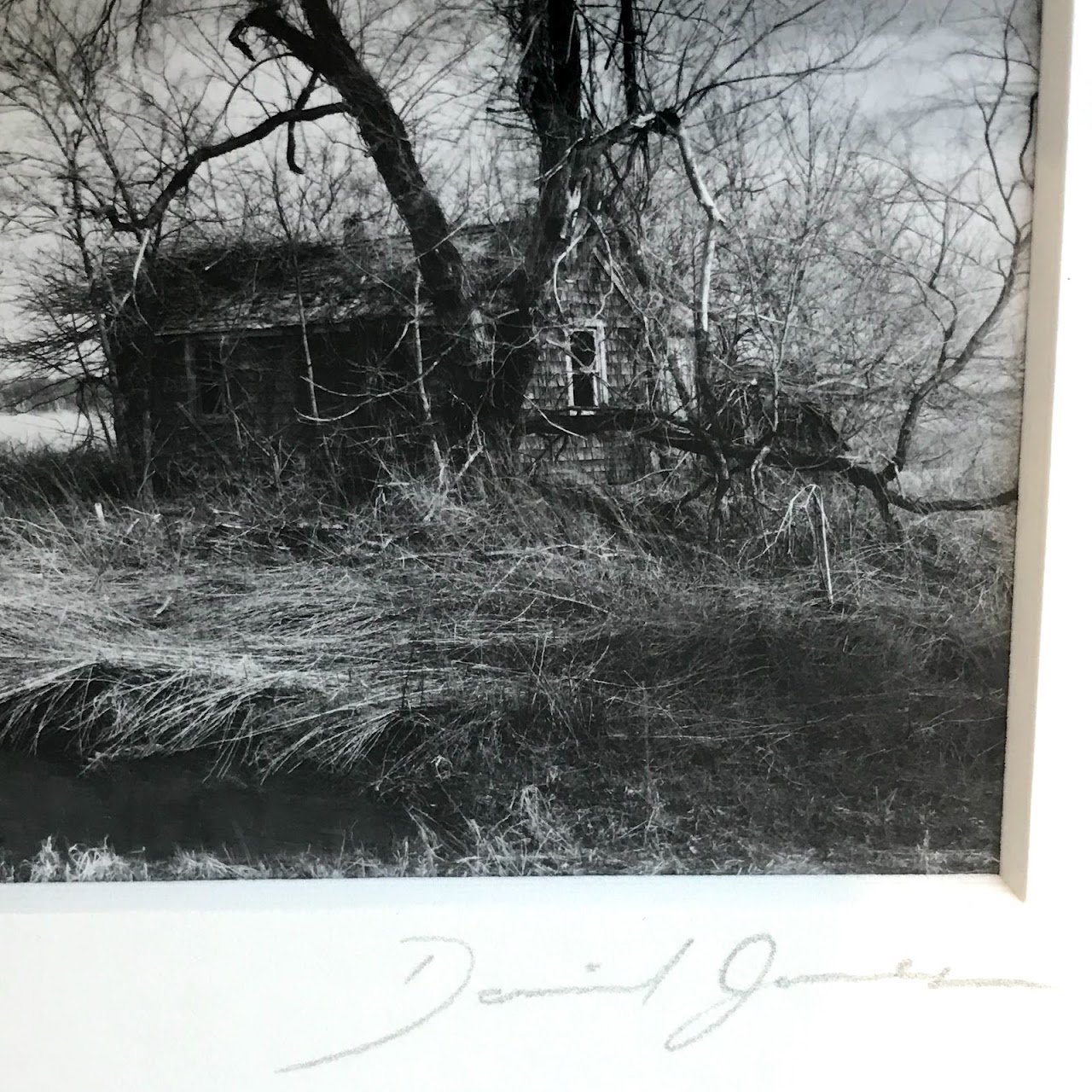 Daniel Jones 'Fantasy' Signed Photograph