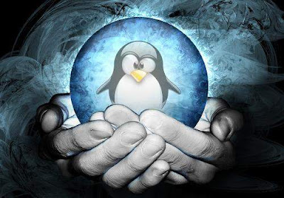 Predicciones sobre Linux para este 2013