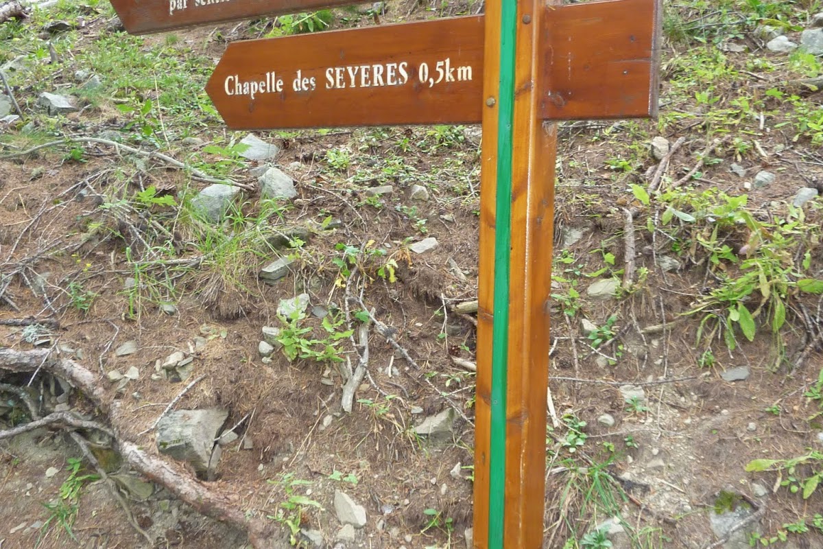 P1040071.JPG