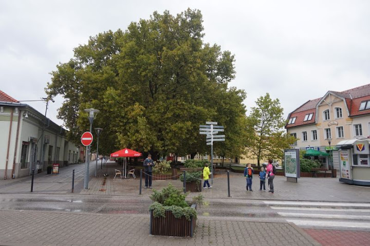 Esztergom: La capital católica húngara (Transdanubia) - Hungría a fondo (49)