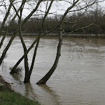 Berges de Seine