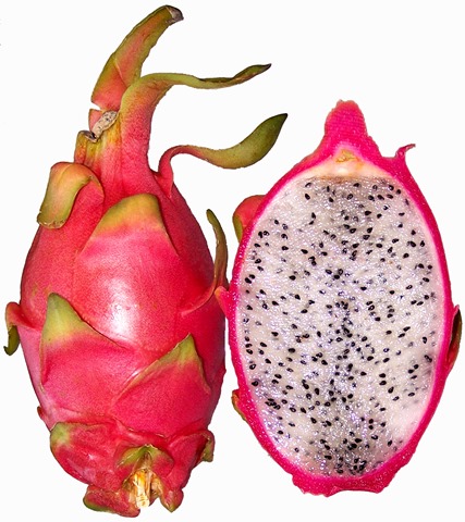 Hylocereus undatus red pitahaya thumb%255B2%255D - 【リキッド】Health Cabin（HC製）リキッド「RASPBERRY（ラズベリー）」「JUICY PEACH（ジューシーピーチ）」「DRAGON FRUIT(ドラゴンフルーツ)」レビュー。HCレビュー3本勝負後編【電子タバコ/VAPE】