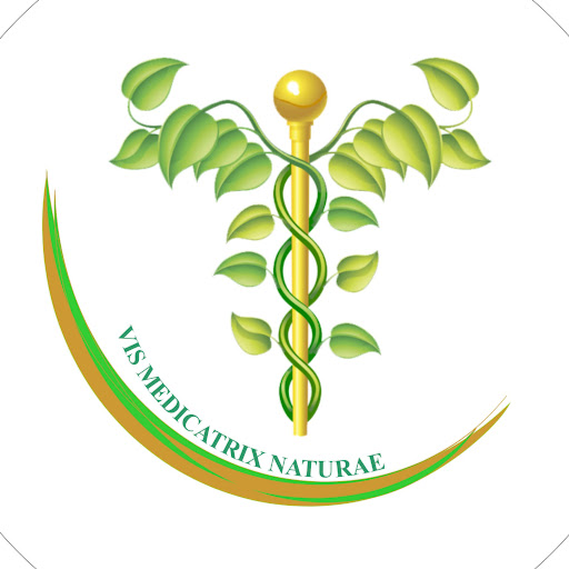 VIS-NATURAE.CH Thérapies Naturelles logo