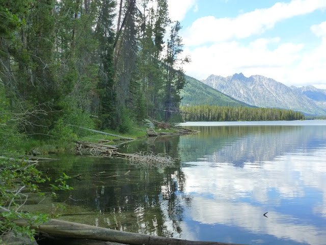 West Thumb, (PN Yellowstone) y Grand Teton. 15 Julio - LAS ROCOSAS DE CANADA. YELLOWSTONE Y GRAND TETON. (66)