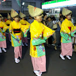 awa odori festival in naka-meguro in Meguro, Japan 