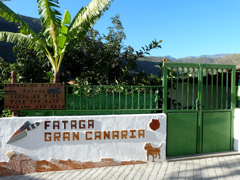 Gran Canaria P1180324