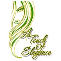 A Touch Of Elegance Hair Salon logo