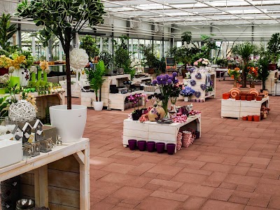 Photos of Vir&aacute;gpaletta Lak&aacute;s & Kert Centrum
