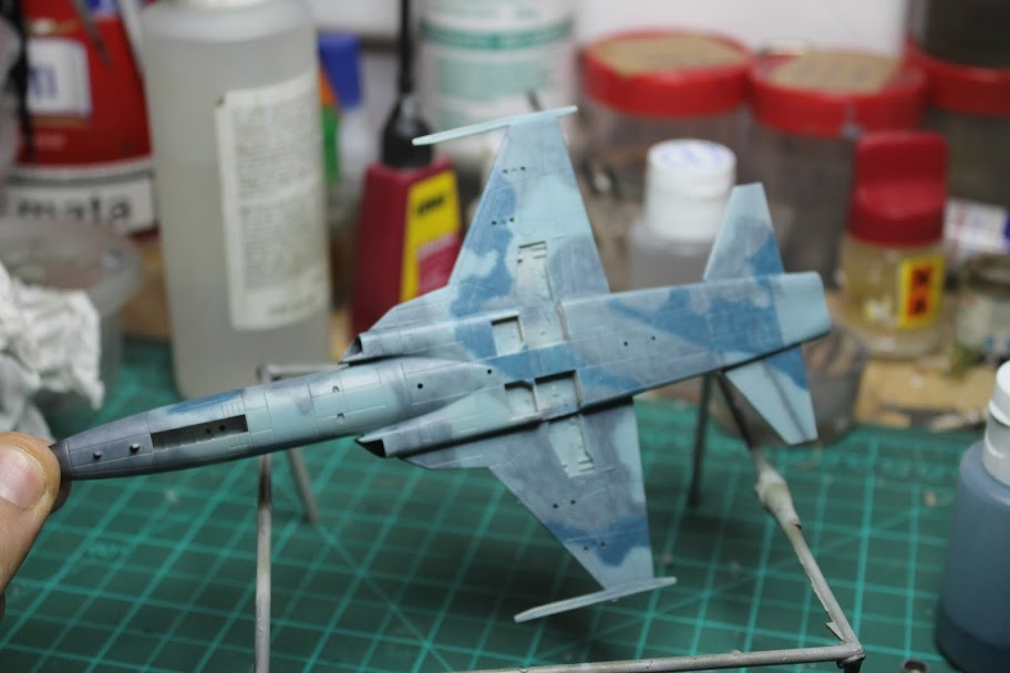 1/72 Northop F5 E aggressor "terminado" IMG_1829