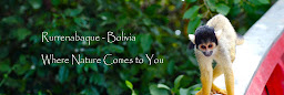 Profile cover photo