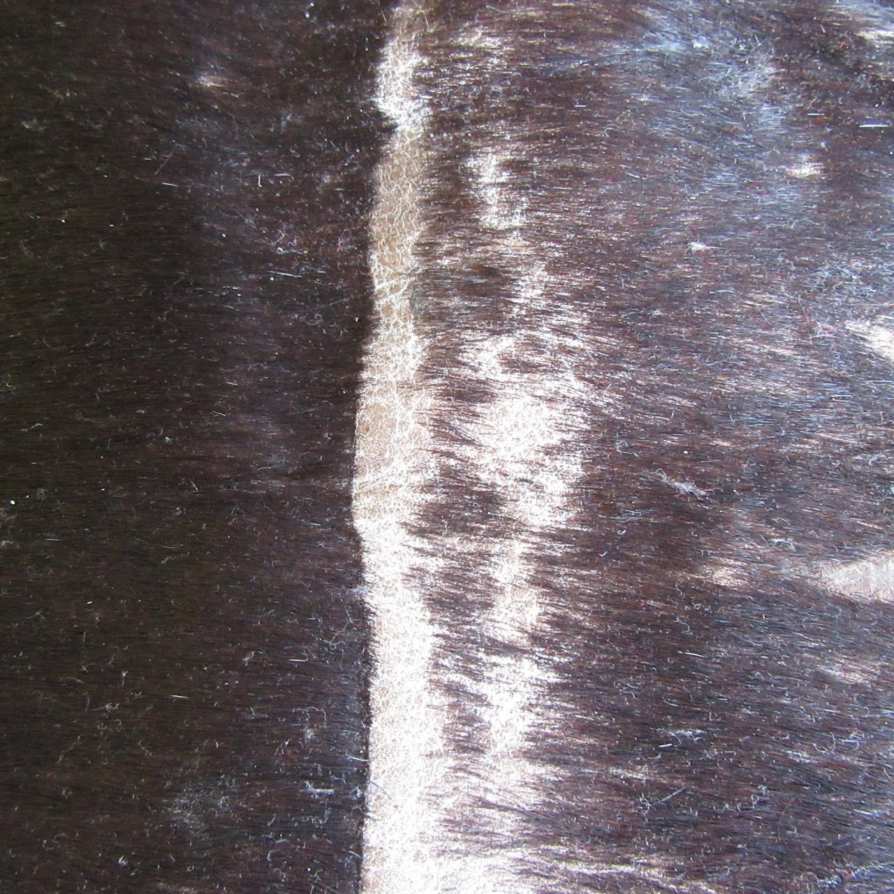 Cowhide Rug