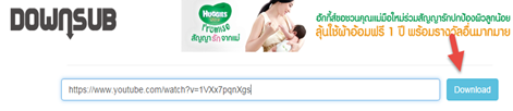 โหลดคำบรรยายในวีดีโอ Youtube