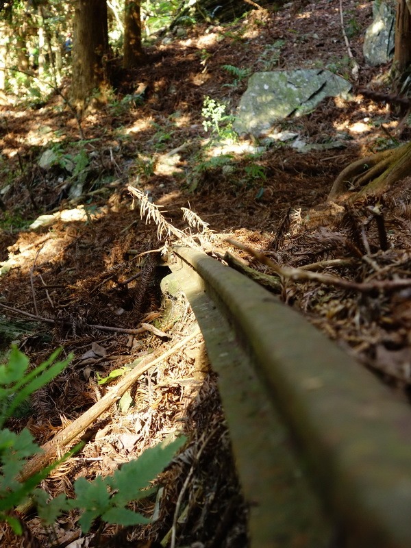 2014_0101-0105 萬山神石、萬山岩雕順訪萬頭蘭山_0304