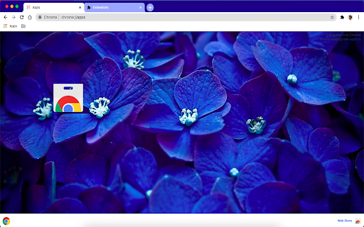 Blue Flower- themeforchrome