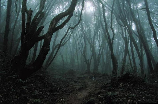 Contra cualquiera Dark_forest