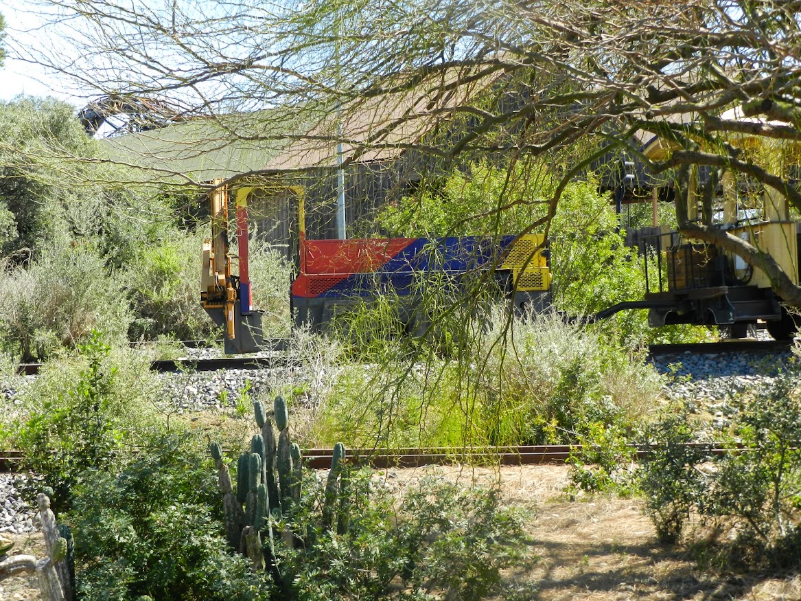 El tren del Far West de Port Aventura DSCN5032