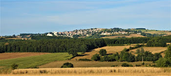 terrain à Saint-Héand (42)