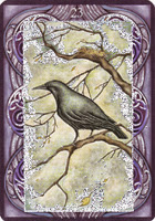 Oracle Wicca ► Exercices 23+Raven