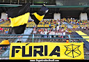 TORCIDA ORGANIZADA FÚRIA AURINEGRA