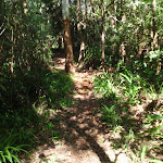 Little Digger track in Amarna Reserve (136219)