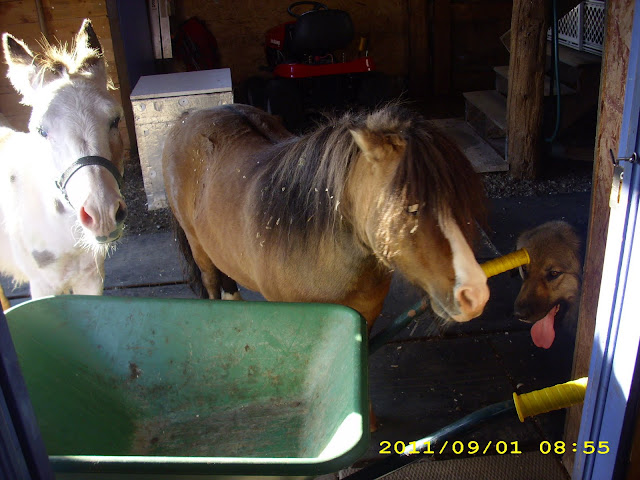 through the bunkhouse door. DSCI0002