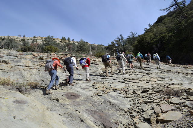 climbing the sandstone