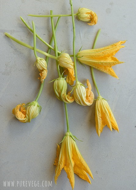 Zucchini Blossoms | Pure Vegetarian By Lakshmi