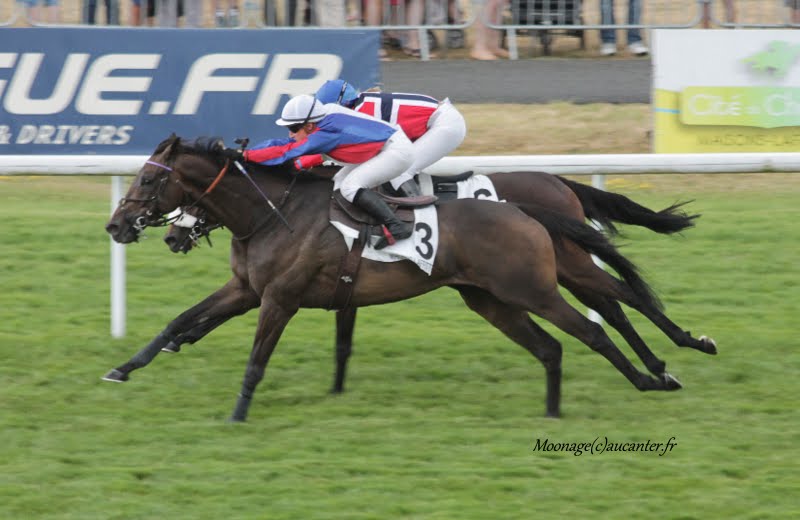 Photos Maisons-Laffitte 5-07-2015 IMG_2213