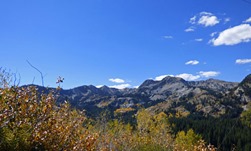 Big Cottonwood Canyon - Autumn 