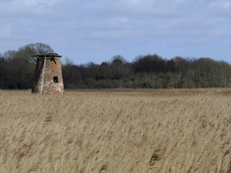 The old Westwood Marsh Pumping Mill