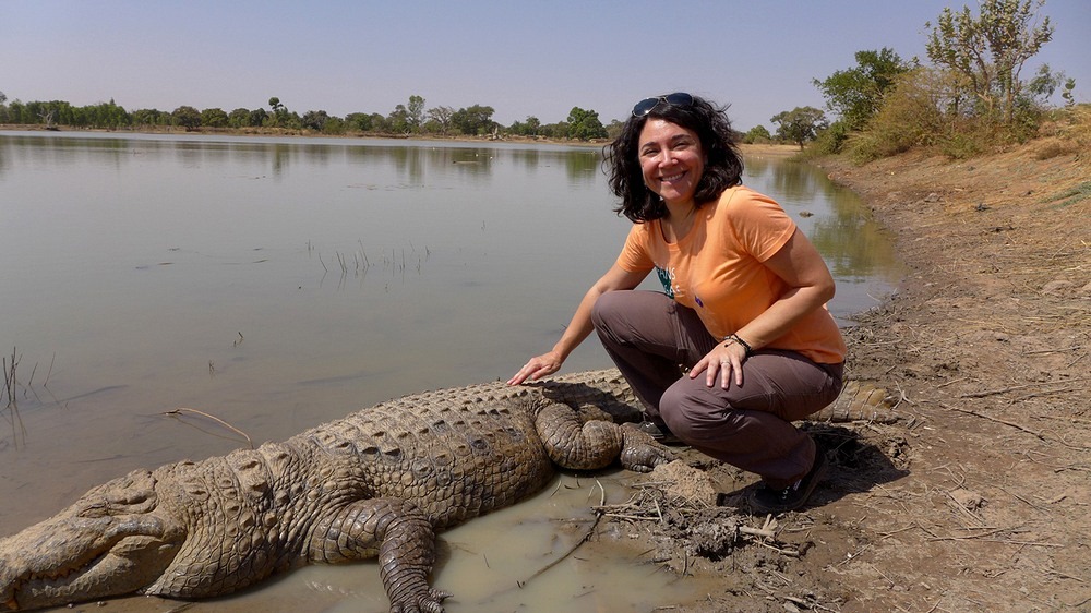 The Sacred Crocodiles of Bazoule Bazoule-crocodiles-16?imgmax=1600