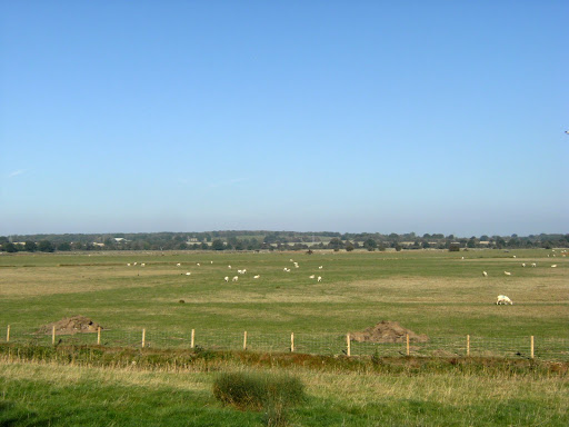 DSCF0040 Romney Marsh