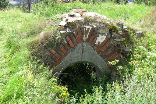 Lichnice Castle ruins