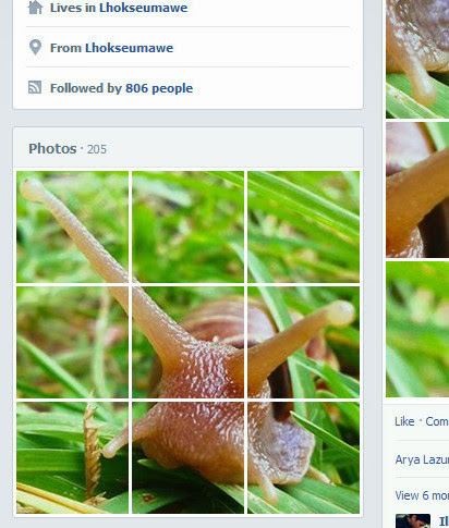 timeline profile facebook