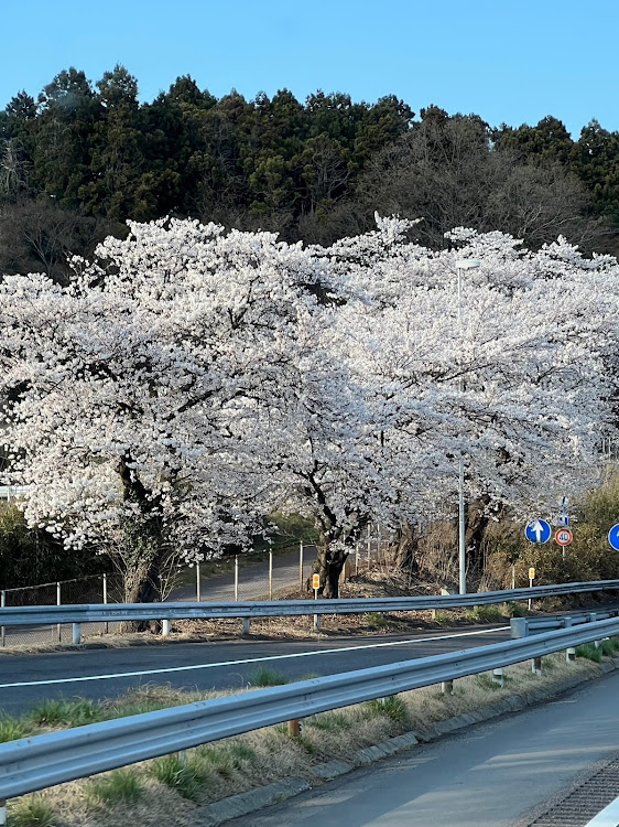 の投稿画像4枚目