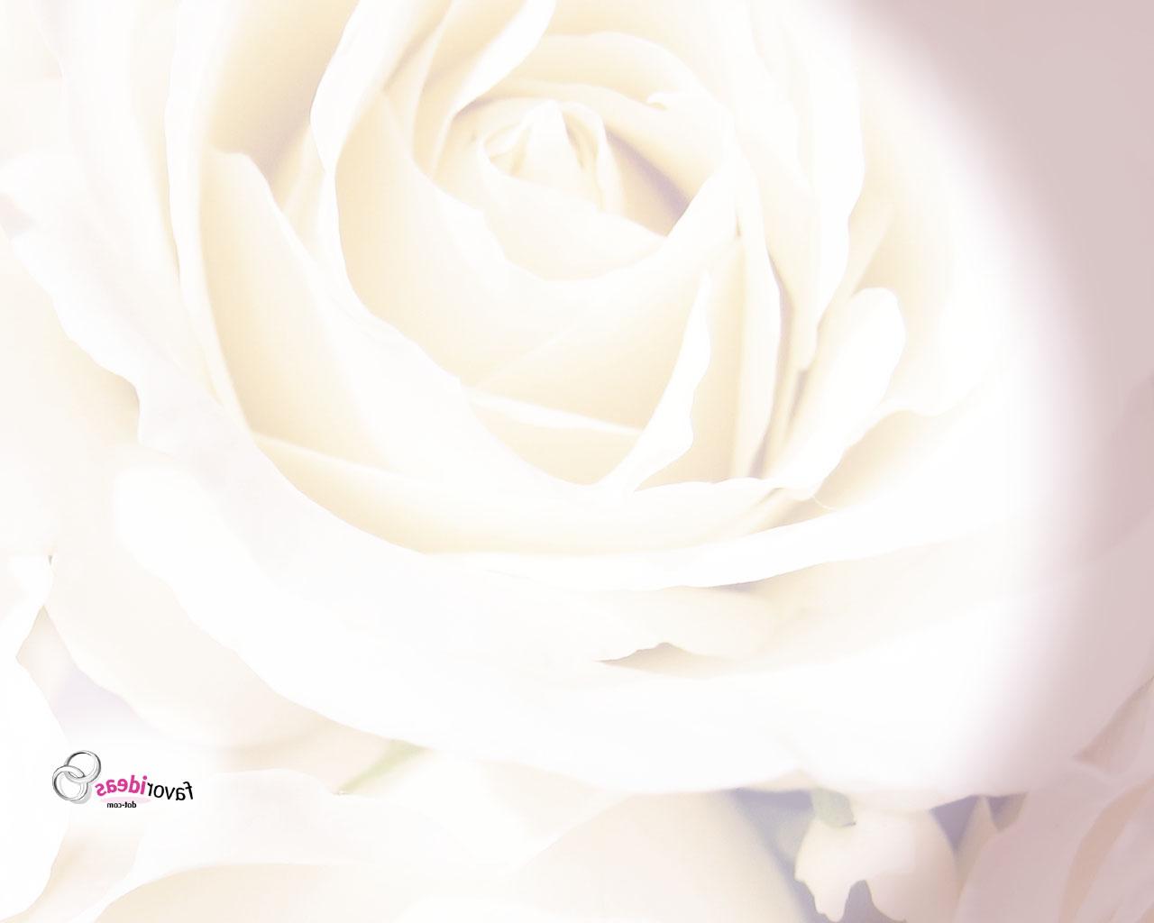 Free Wedding Backgrounds and