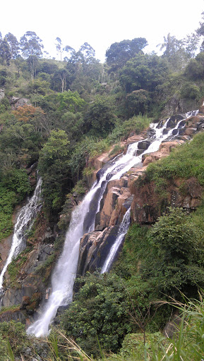 Шри Ланка 6-28 января 2015. РАЙ НА ЗЕМЛЕ!