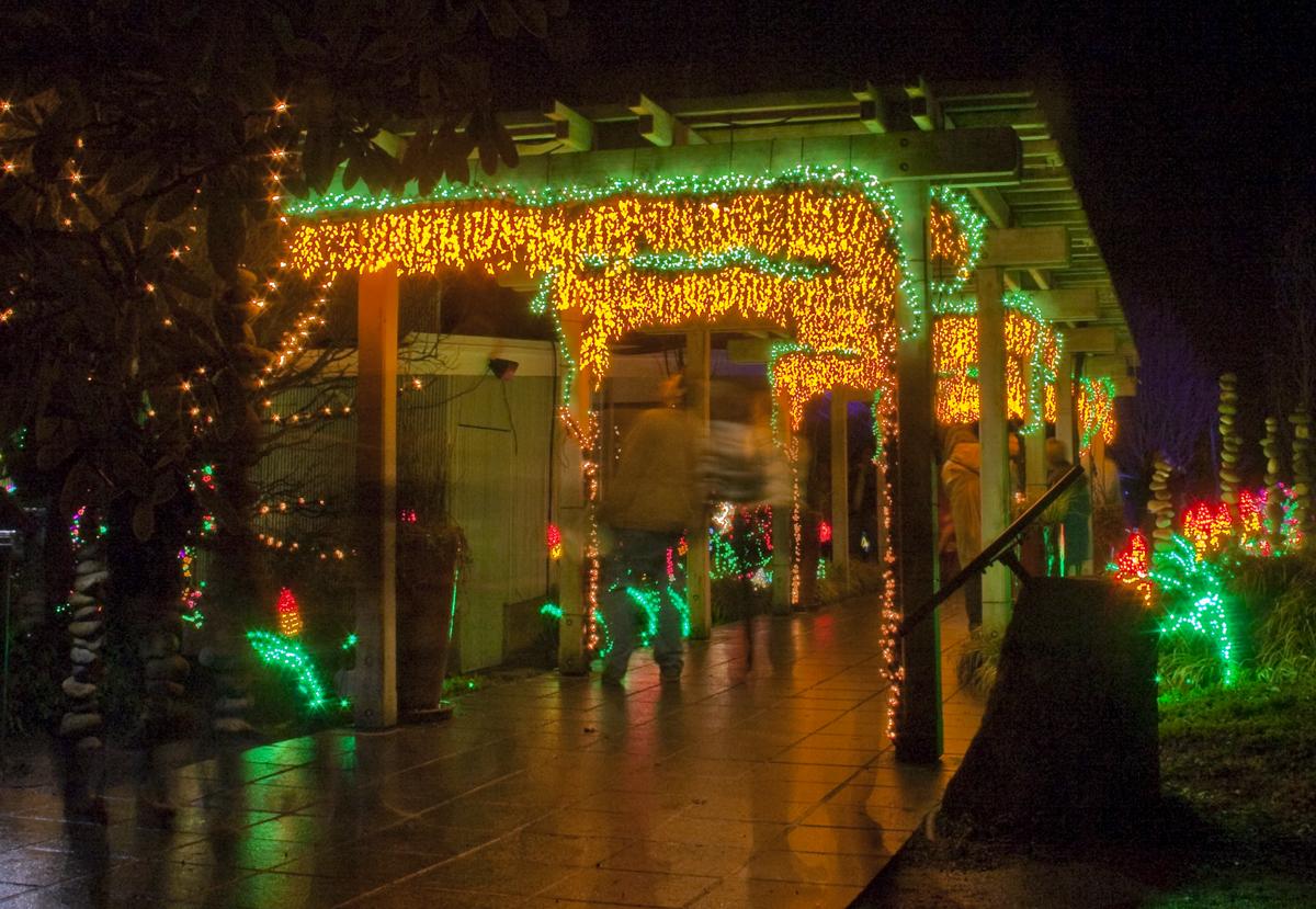 wedding arbor ideas christmas