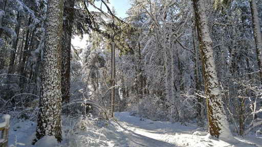 Nature Preserve «Lowami Hart Woods Natural Area», reviews and photos, 14895 SW Hart Rd, Beaverton, OR 97007, USA