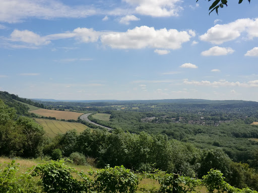 CIMG3128 View from Oxted Downs