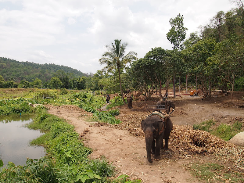 Chiang Mai - Trekking (1er día) - Por Tierras de Siam (9)