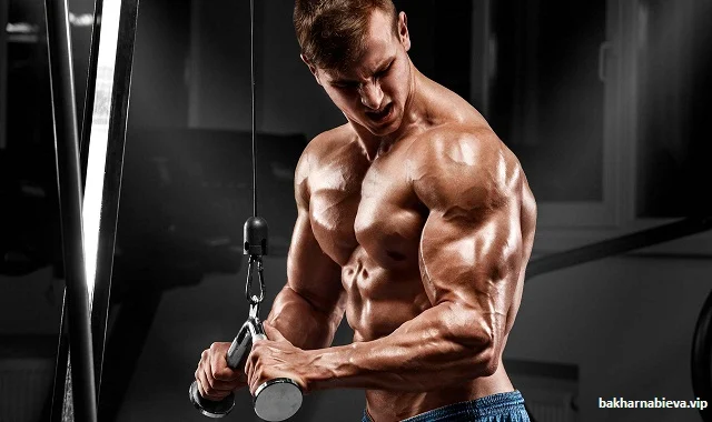 Exercises To Build Triceps