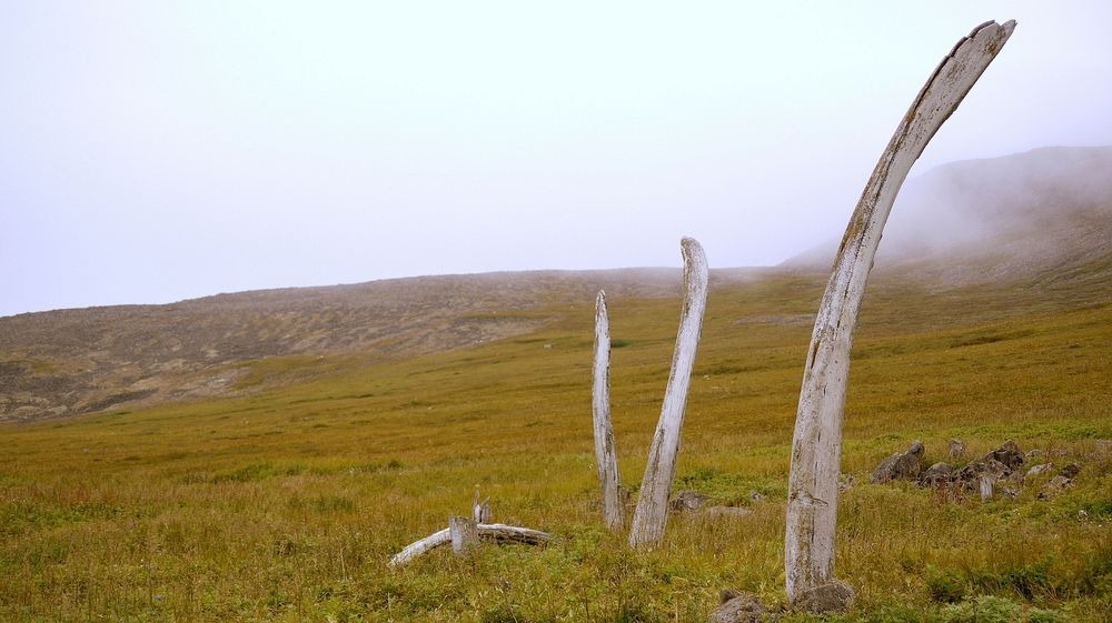 Welcome to Whale Bone Alley - Siberia's Eerie Answer to Stonehenge