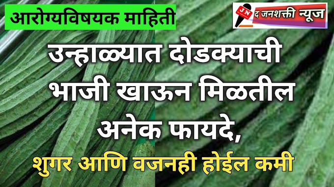 उन्हाळ्यात दोडक्याची भाजी खाऊन मिळतील अनेक फायदे, शुगर आणि वजनही होईल कमी.....