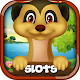 Download Meerkat Slots For PC Windows and Mac 1.2