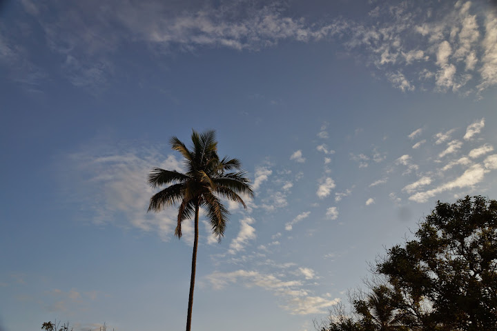 Шри-Ланка: на машине 1 100 км,  фото без комментариев, март-апрель 2013г.