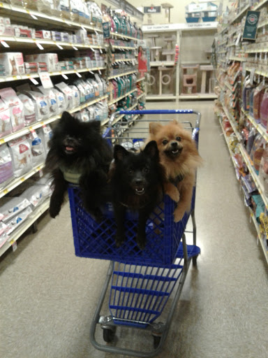 Pet Supply Store «PetSmart», reviews and photos, 1038 Crossings Blvd, Spring Hill, TN 37174, USA