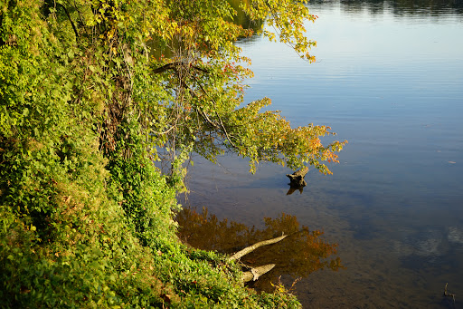 Park «Occoquan Regional Park», reviews and photos, 9751 Ox Rd, Lorton, VA 22079, USA