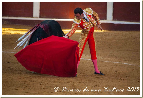 Toros Feria 2015-9804