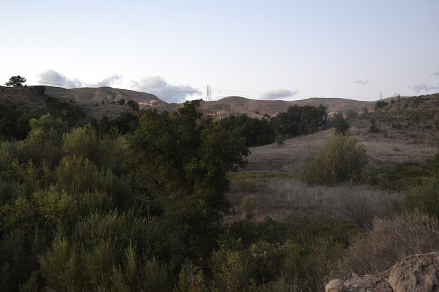 grassy hills